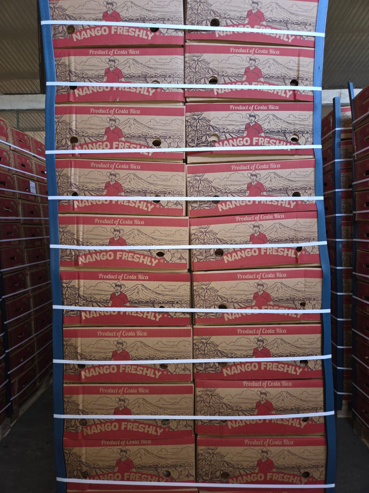 Drop private label box photo