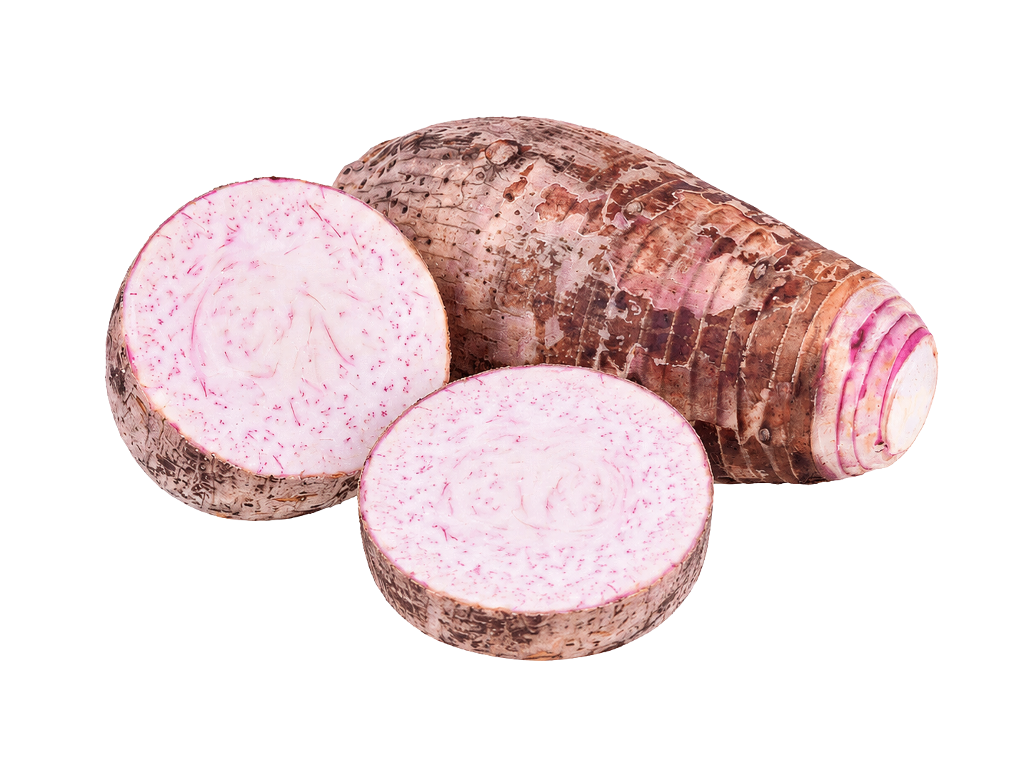 Big Taro Lila