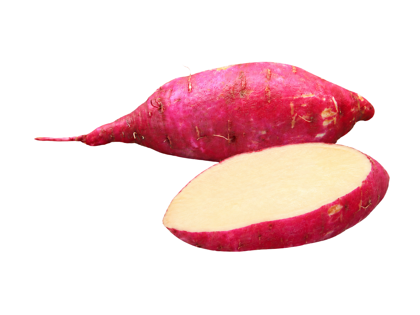 Lila Sweet Potato
