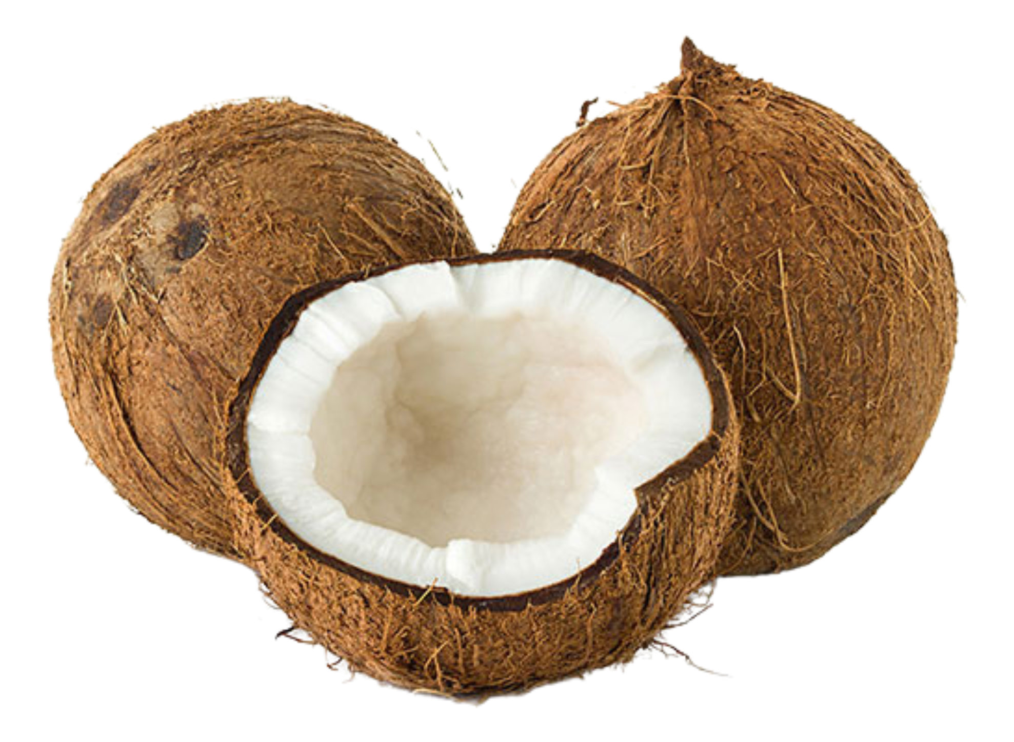 Dry Coconut