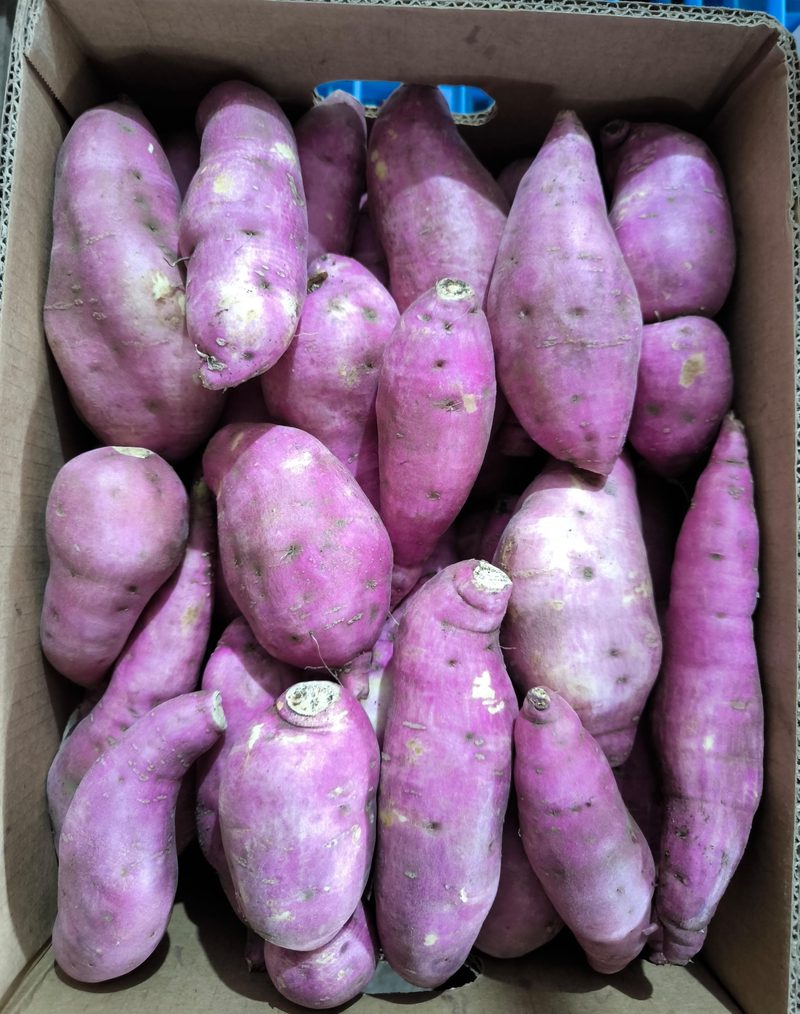 Camote