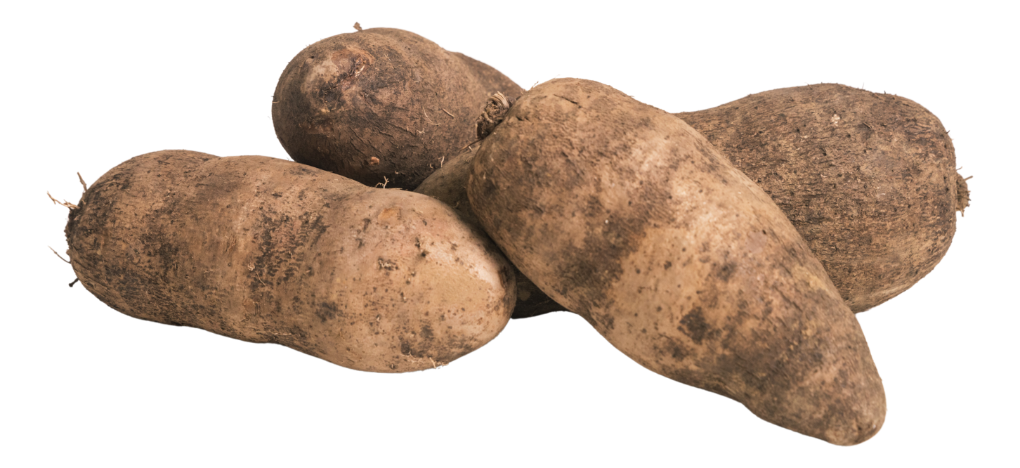 White Yam
